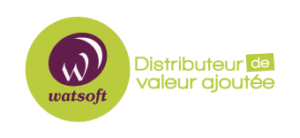 Logo Watsoft 2017 500px 300x138 1