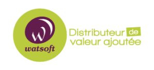 Logo Watsoft 2017 500px 300x138 1 50x23